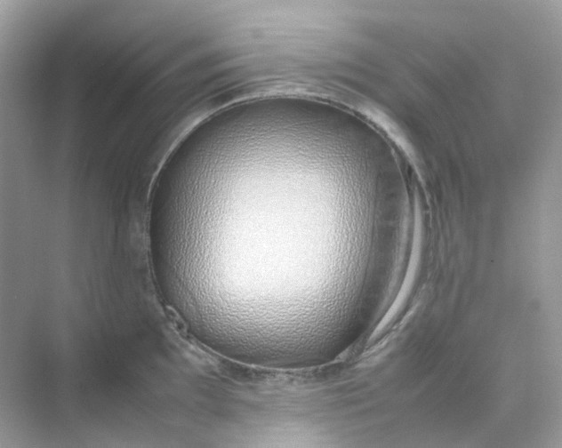 X0000075331097200609292002