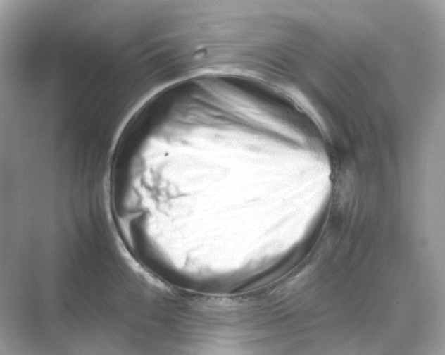 X0000075331100200609292002