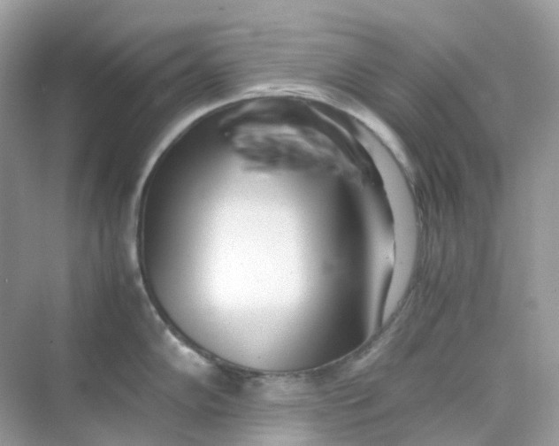 X0000075331102200609292002