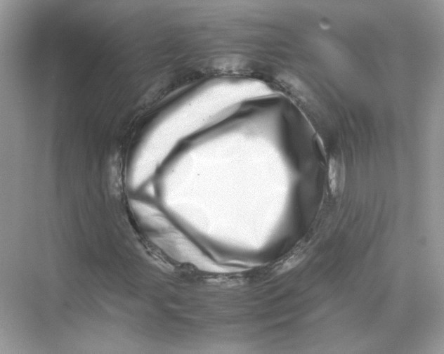 X0000075331107200609292001