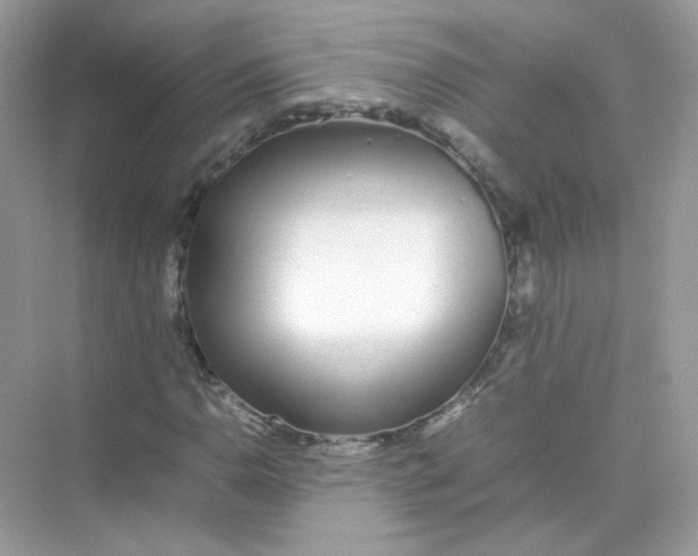 X0000075331110200609292001