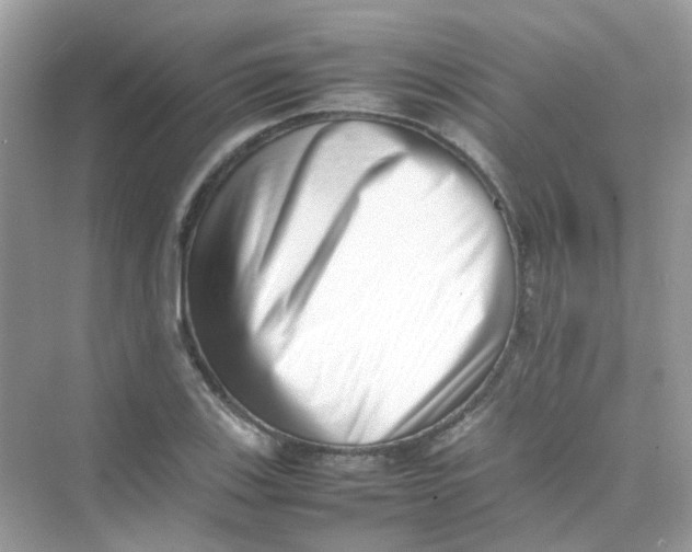 X0000075331123200609292001
