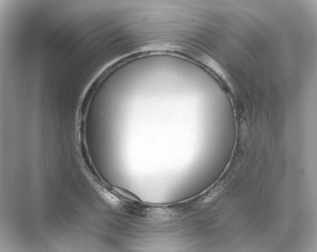 X0000075331124200609292001