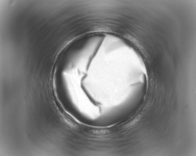 X0000075331129200609292001