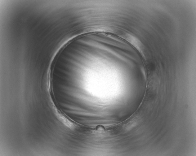 X0000075331132200609292001