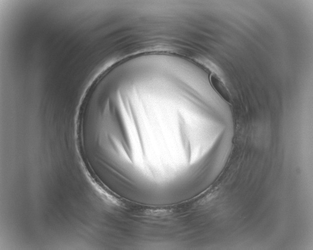 X0000075331135200609292001