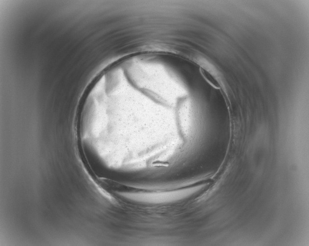 X0000075331141200609292002