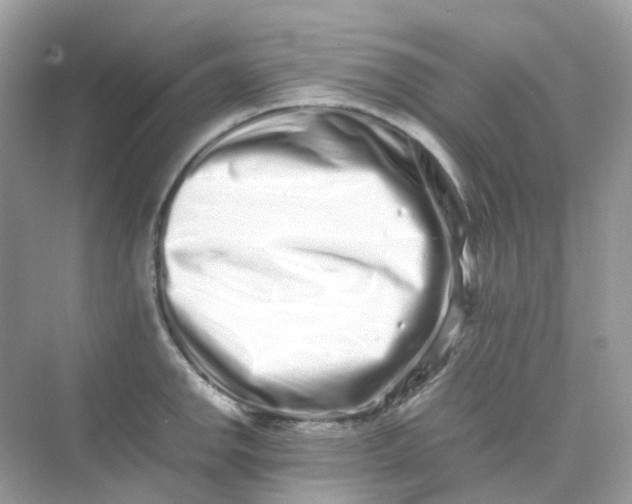 X0000075331142200609292002
