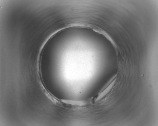 X0000075331148200609292002