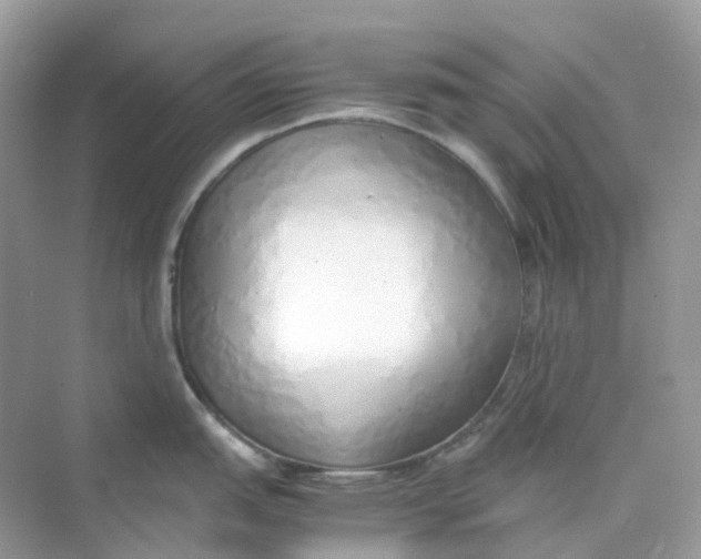 X0000075331151200609292002