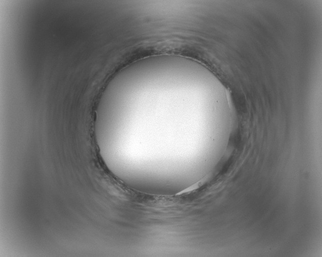 X0000075331153200609292001