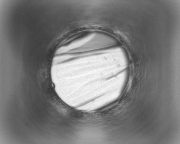 X0000075331159200609292001