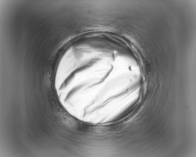 X0000075331163200609292001