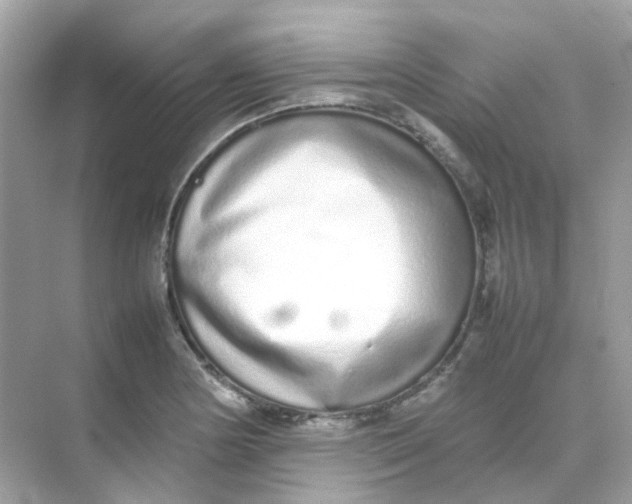X0000075331178200609292000