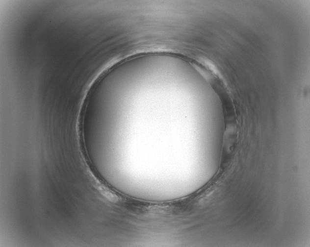 X0000075331181200609292000