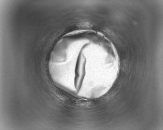 X0000075331201200609291959