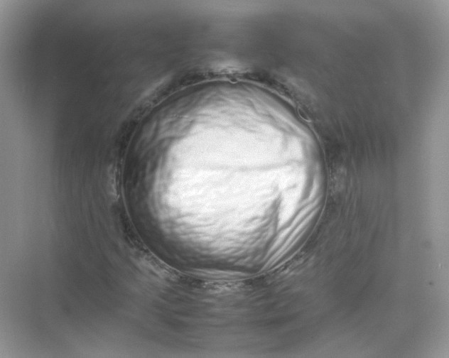 X0000075331205200609291959