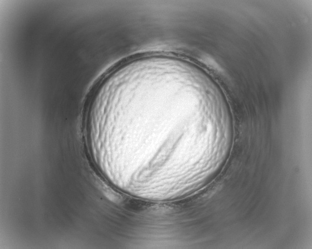 X0000075331216200609292000