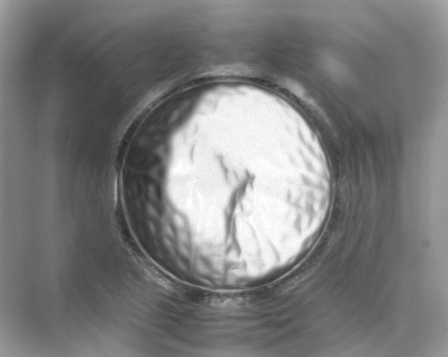 X0000075331221200609292000