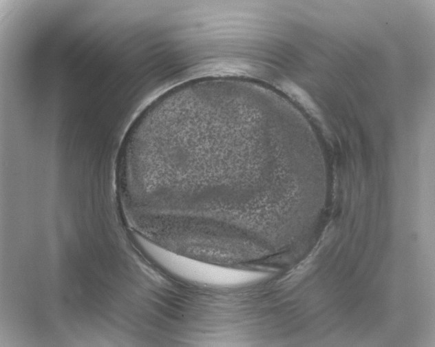 X0000075331226200609292000