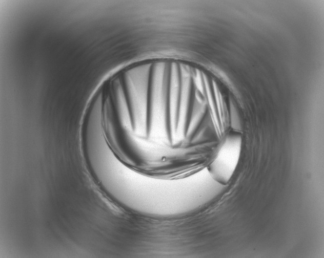 X0000075331230200609292000