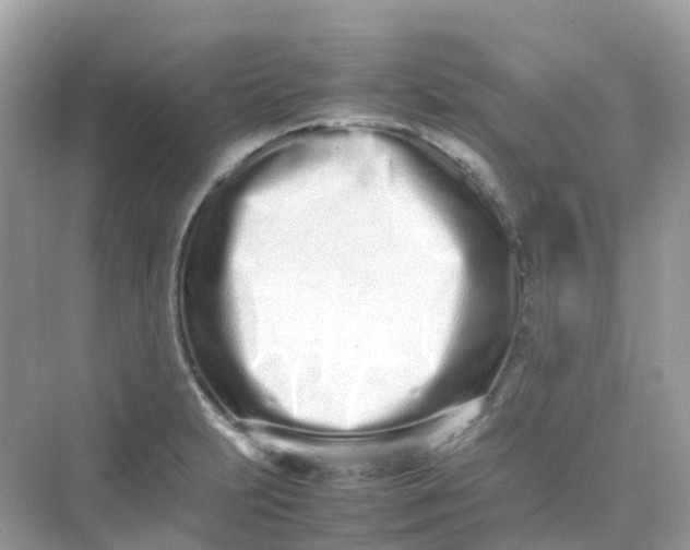X0000075331231200609292000