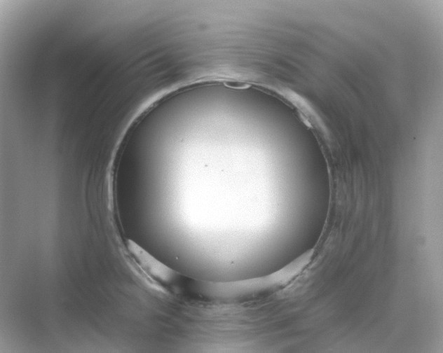X0000075331238200609292000