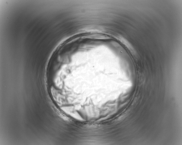 X0000075331240200609292000