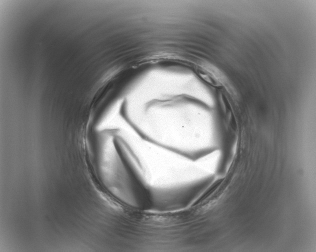 X0000075331241200609292000