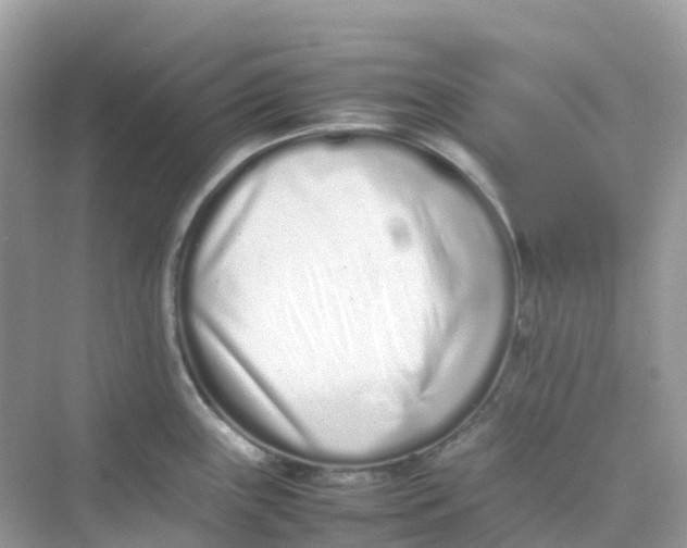 X0000075331243200609292000