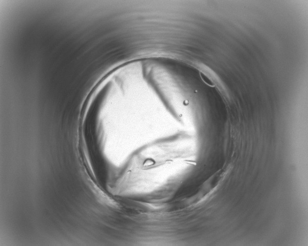 X0000075331244200609292000