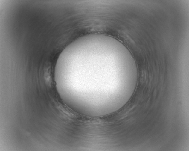 X0000075331250200609291959