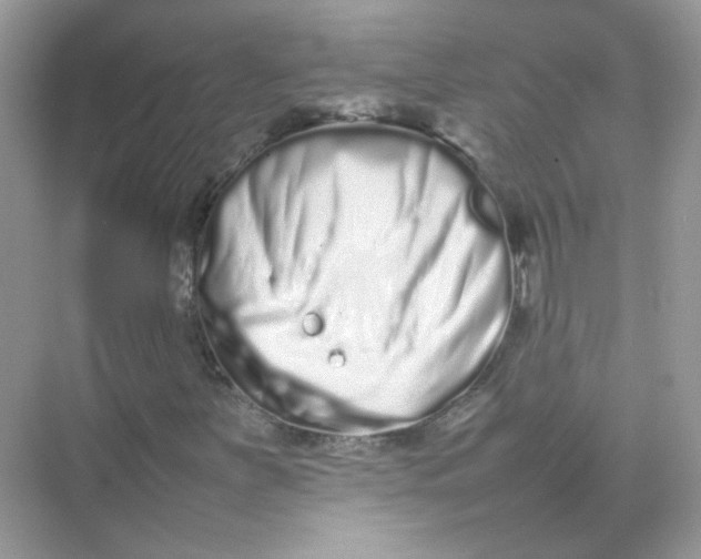 X0000075331251200609291959
