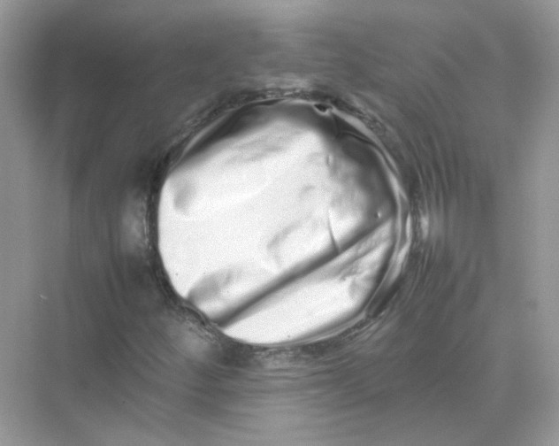 X0000075331252200609291959