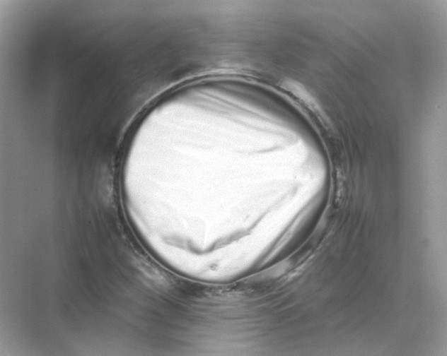 X0000075331260200609291959
