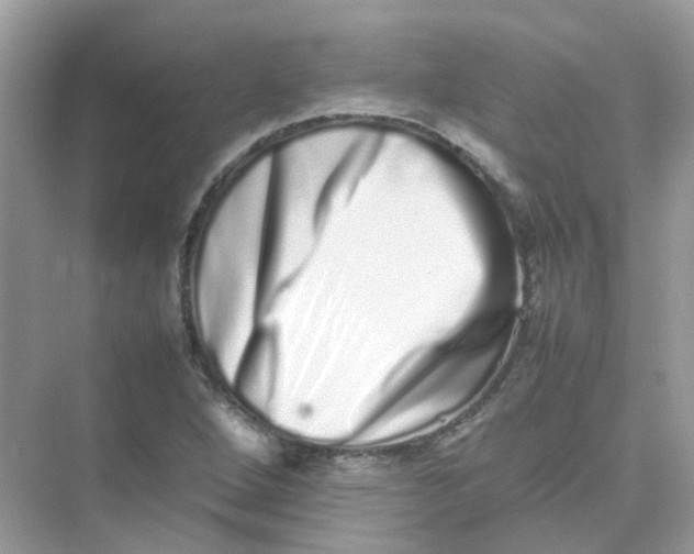 X0000075331264200609291959