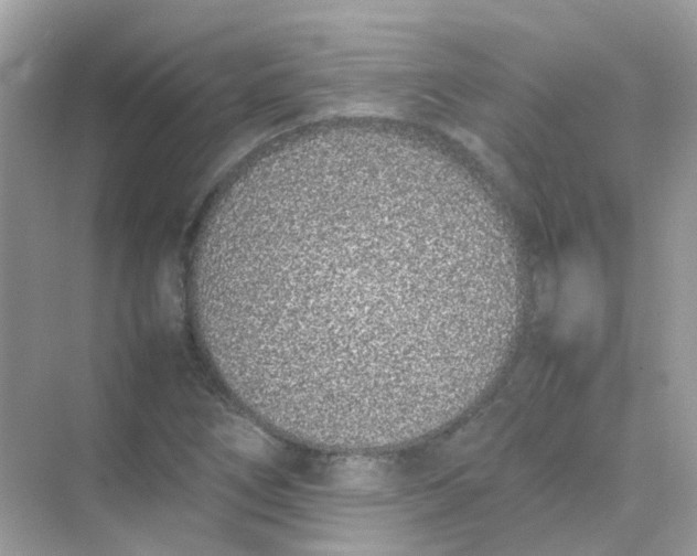 X0000075331266200609291959