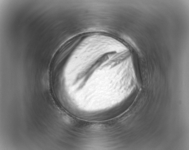 X0000075331268200609291959