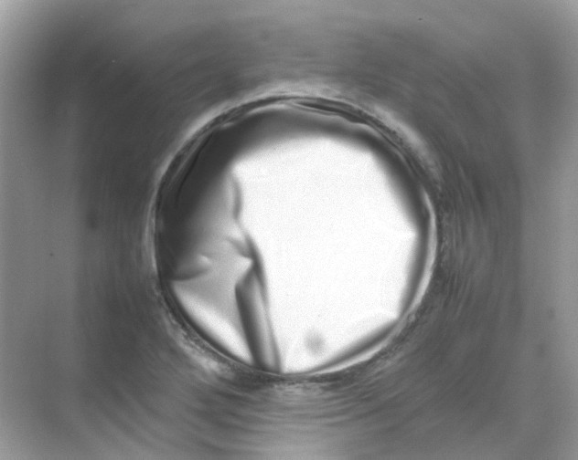 X0000075331272200609291959
