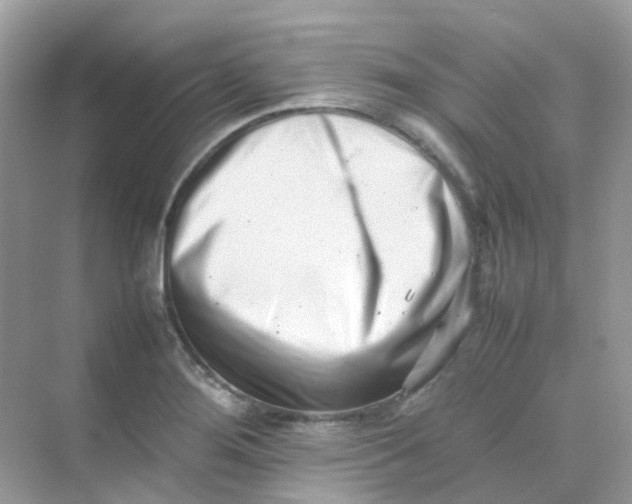 X0000075331276200609291959