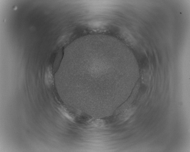 X0000075331298200609291958