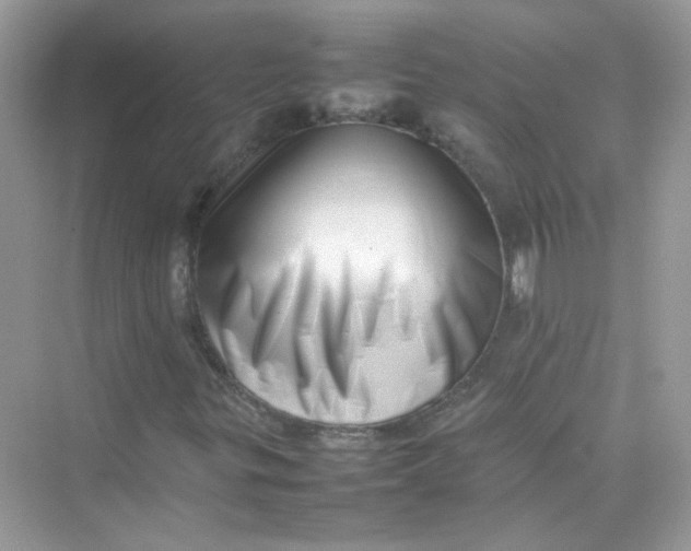 X0000075331299200609291958