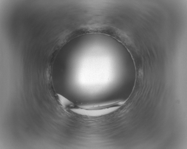 X0000075331300200609291958