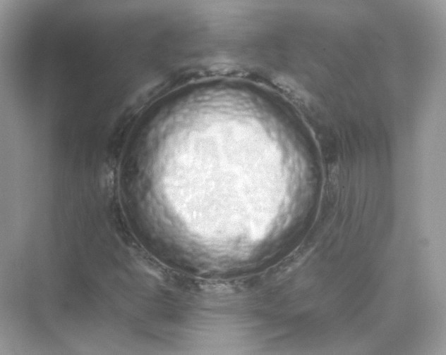 X0000075331302200609291958