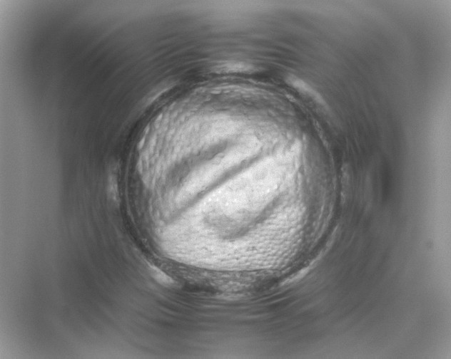 X0000075331305200609291958