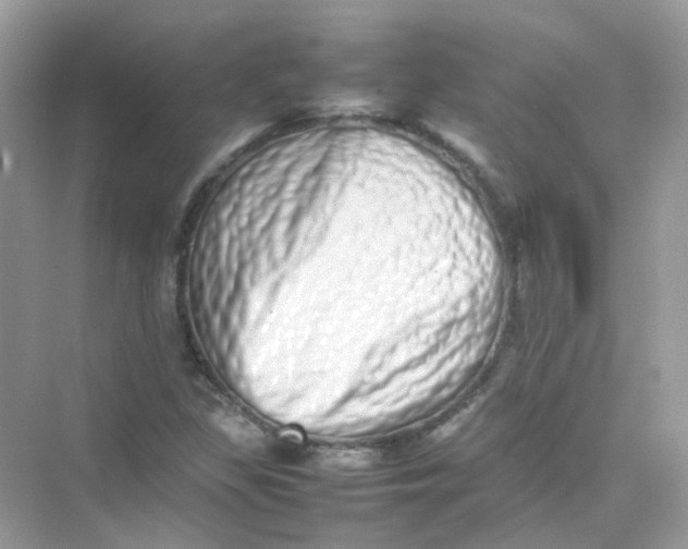 X0000075331309200609291958