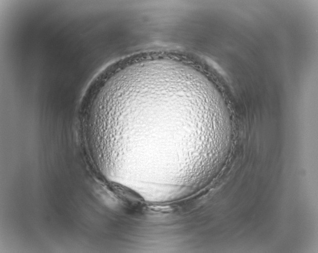 X0000075331310200609291958