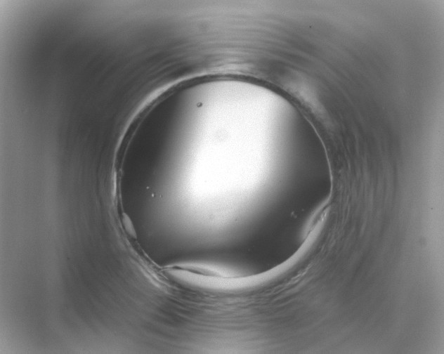 X0000075331324200609291958
