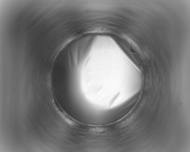 X0000075331329200609291958