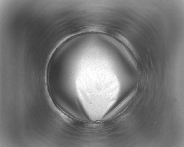 X0000075331339200609291958